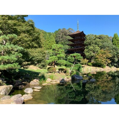 国宝瑠璃光寺五重塔保存修理事業 K005