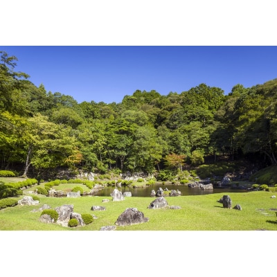 常栄寺庭園保存整備事業 K007