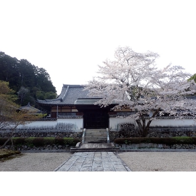 常栄寺庭園保存整備事業 K007