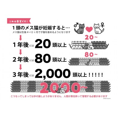 飼い主のいない猫の不妊去勢手術支援～不幸な命を増やさないために～ K012