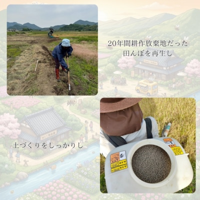 ミツバチと地球の未来を守るお米【八米】玄米5キログラム C126