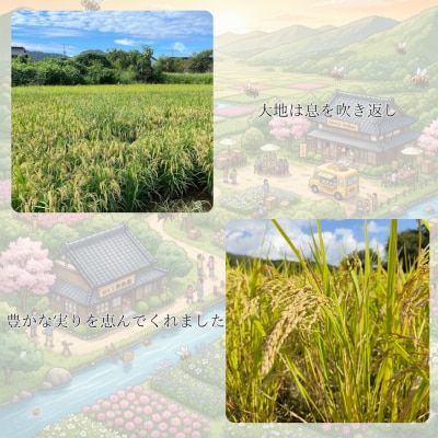 ミツバチと地球の未来を守るお米【八米】玄米5キログラム C126