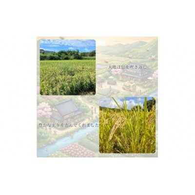 ミツバチと地球の未来を守るお米【88HACHIMAI】玄米5kg C138