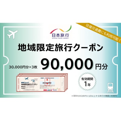 �R���s�h���v�����R�[�f�B�l�[�g��(90000�~��)���{���s �n����藷�s�N�[�|���@A109