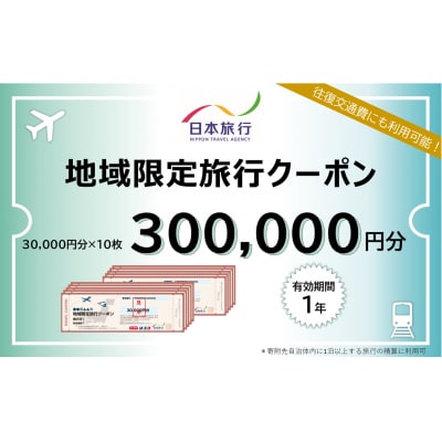 山口市宿泊プランコーディネート券(300000円分)日本旅行 地域限定旅行クーポン　A111