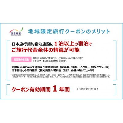 山口市宿泊プランコーディネート券(300000円分)日本旅行 地域限定旅行クーポン　A111