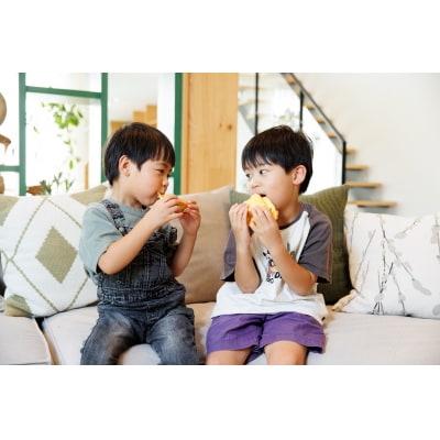 三角チーズサンドパンプレミアム4個・チョコ4個入 D424