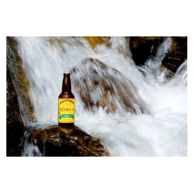 【WBAワールド・ビア・アワード2018世界金賞受賞】山口地ビール6本定期便(4回コース) C137