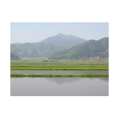 無洗米阿東のこしひかり5kg(白米) D409