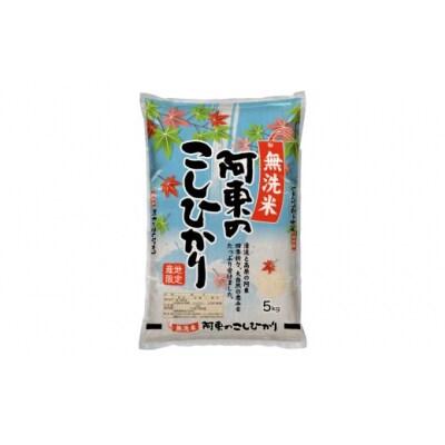 無洗米阿東のコシヒカリ5kg×2袋(白米) C119