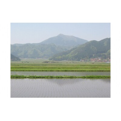 無洗米阿東のコシヒカリ5kg×6袋(精米) B110