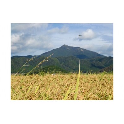 無洗米阿東のコシヒカリ5kg×6袋(精米) B110