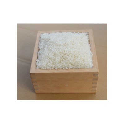 【定期便】阿武川源流米きぬむすめ白米60kg(5kg×12回) A124