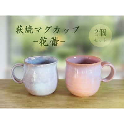 萩焼マグカップセット-花蕾-　D554