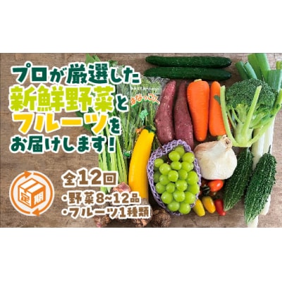 朝採り野菜とフルーツの定期便(12回)　A132