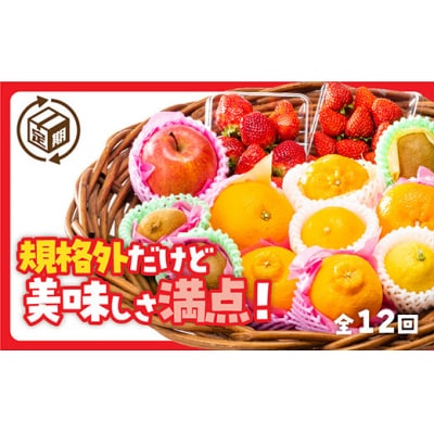規格外だけど美味しさ満点!エコ・フルーツアソートボックス定期便(12回)　A133