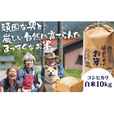 頑固な男のお米(コシヒカリ)白米10kg D504
