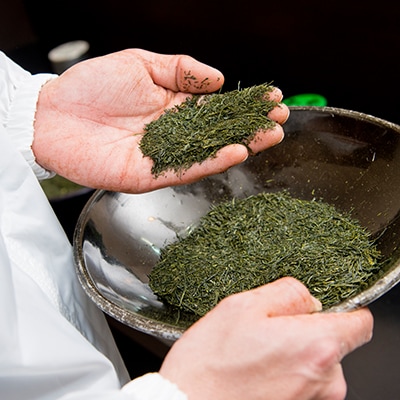 利き茶日本一の深むし茶と水出し煎茶+フィルターボトルの詰合せ