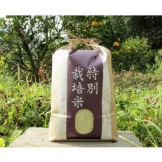 【栽培期間中農薬不使用】2023年産「にこまる」白米5kg ひょうご安心ブランド(兵庫県認証食品)