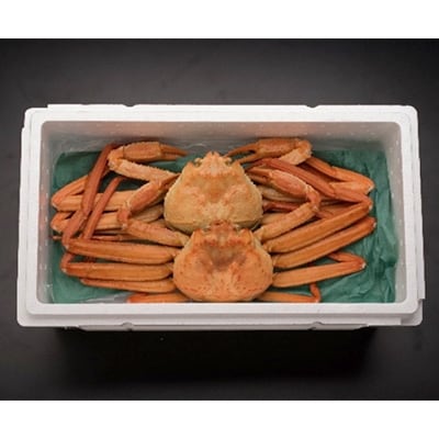【おすすめ】新湊産紅ズワイガニ(中サイズ約600g×2尾)