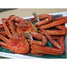 【おすすめ】新湊産紅ズワイガニ約800g×2尾(孫七タグ付)