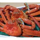 新湊産ベニズワイガニ・孫七タグ付き(約800g×2尾)
