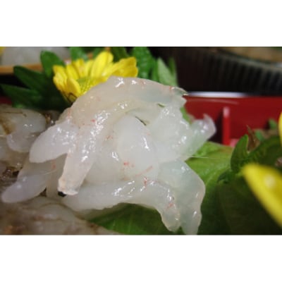 シロエビ刺身100g×2