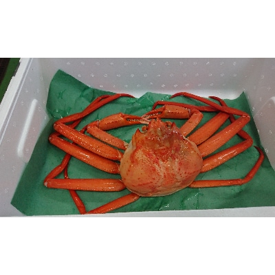 紅ズワイガニ 600g以上