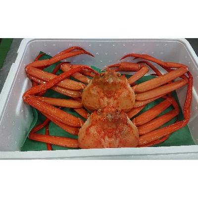 紅ズワイガニ 600g以上×2