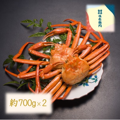 【富山県新湊産】 ボイル紅ズワイ蟹姿(約700g)×2杯