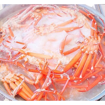 【富山県新湊産】 ボイル紅ズワイ蟹姿(約700g)×2杯