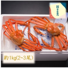 【富山県新湊産】ボイル紅ズワイ蟹 約1kg(2～3尾)