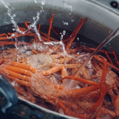 【富山県新湊産】ボイル紅ズワイ蟹　約1kg(2～3尾)