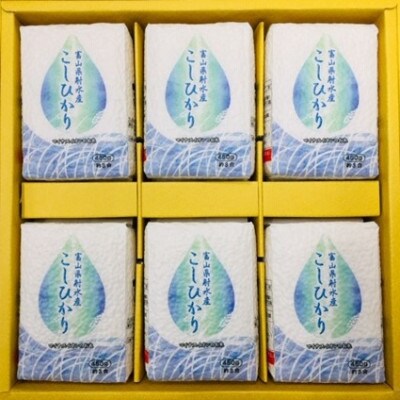 射水のこしひかり約3合 6個セット