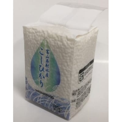 射水のこしひかり約3合 6個セット