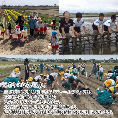 【新米予約】R8年富山県射水市産「富富富」　5kg×1【精米】