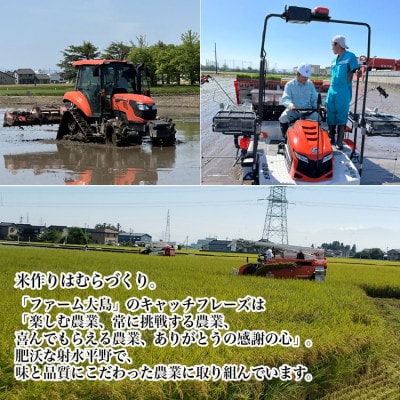 【新米予約】R8年富山県射水市産「富富富」10kg(5kg×2)【精米】