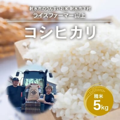 【令和8年産 新米予約】富山県射水市産コシヒカリ5kg 精米【農家直送】
