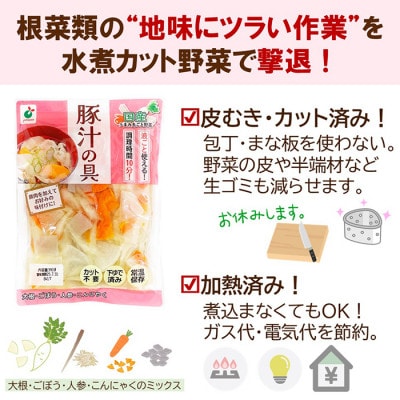 「うまみ丸ごと野菜 国産豚汁の具 390g」×20袋