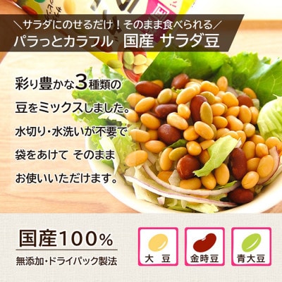 「パラっとカラフル 国産 サラダ豆 120g」×10袋