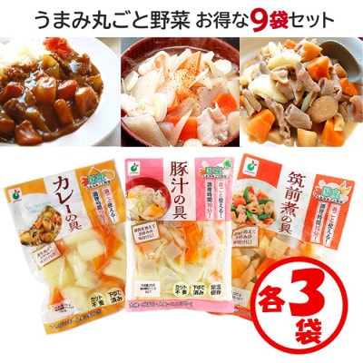 「うまみ丸ごと野菜シリーズ3種(カレーの具、豚汁の具、筑前煮の具)」×各3袋