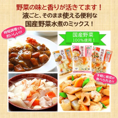 「うまみ丸ごと野菜シリーズ3種(カレーの具、豚汁の具、筑前煮の具)」×各3袋
