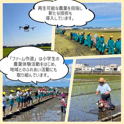【先行予約・R8年産】ファームつくりみちのお米 作道米 こしひかり 5kg 精米