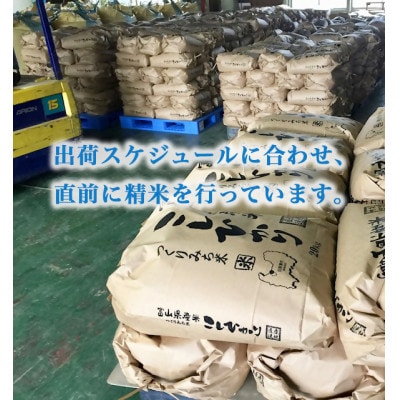 【先行予約・R8年産】ファームつくりみちのお米 作道米 こしひかり 5kg 精米