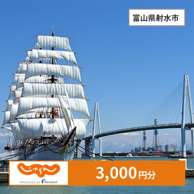 【じゃらんふるさと納税クーポン】 富山県射水市でつかえる3,000円 クーポン