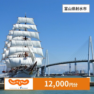 【じゃらんふるさと納税クーポン】 富山県射水市でつかえる12,000円 クーポン