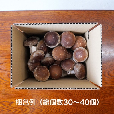 遠野産 菌床しいたけ 約1kg