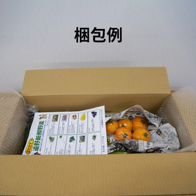 遠野市 季節の野菜セット (5種類以上) 岩手県 道の駅 遠野風の丘 産直から直送!