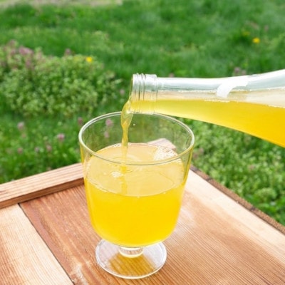 【さとふる限定】ヤーコンしぼり 500ml×2本 果汁100%ジュース 遠野風の丘