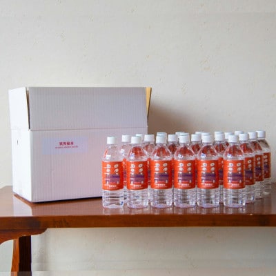 天然水 異界秘水 500ml×24本セット